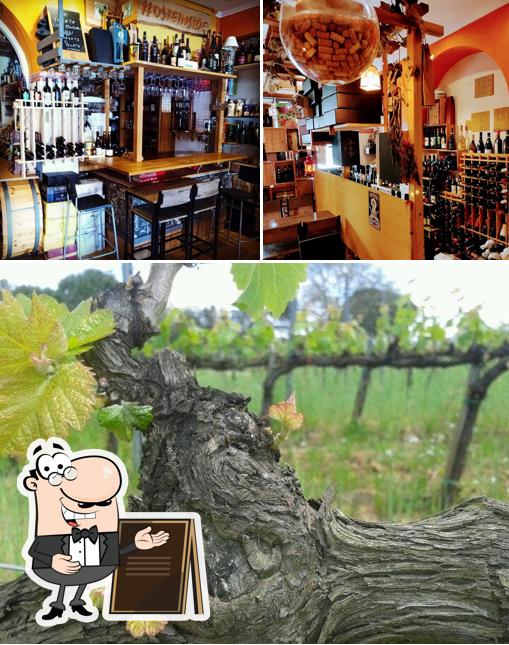 Gli esterni di Enoteca Samnium