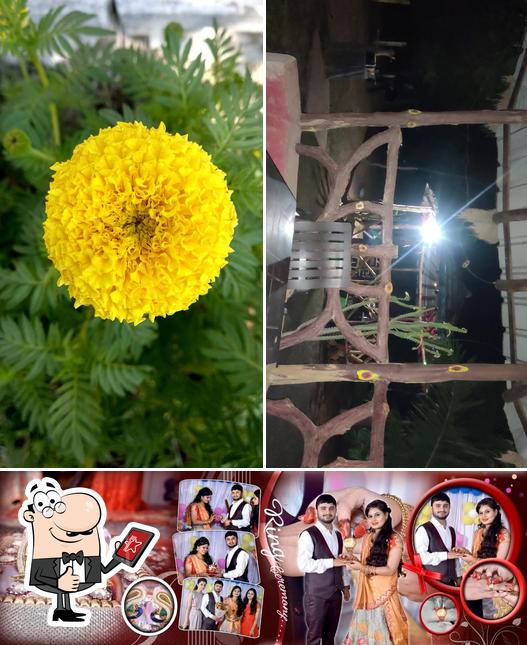 Green Chilli Restaurant, Kota Restaurant reviews