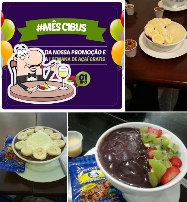 Comida em Cibus