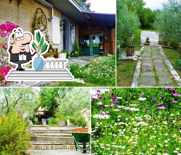 Gli esterni di Agriturismo Il Gufo