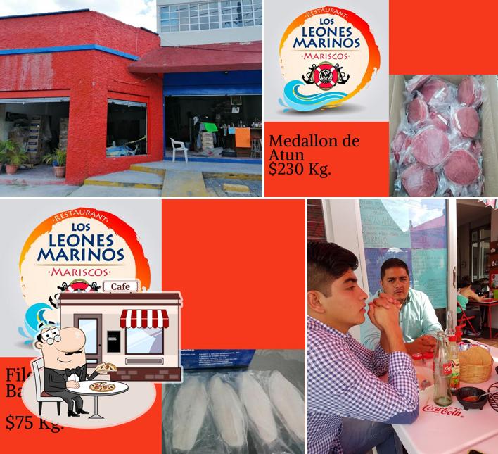 Restaurante LOS LEONES MARINOS CONCHITAS, Zapopan - Opiniones del  restaurante