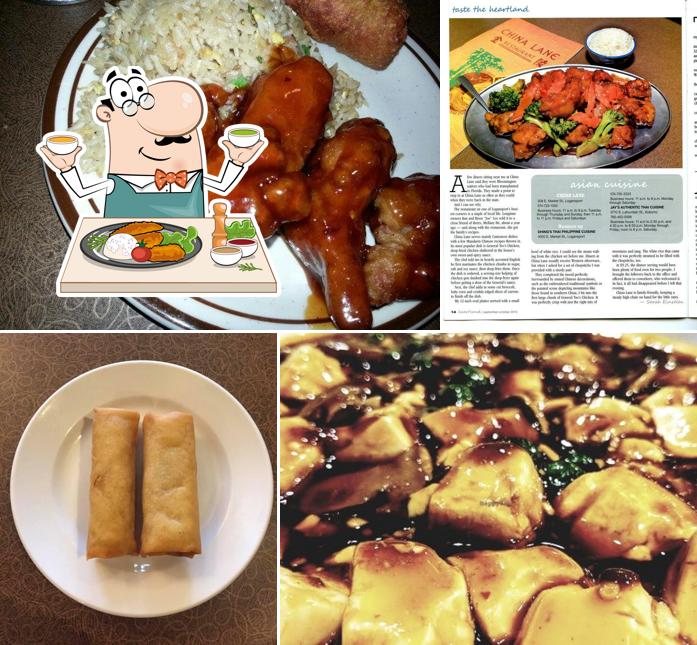 China Lane Restaurant, 308 E Market St in Logansport Restaurant menu