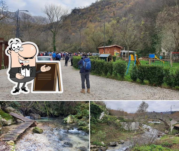 Curiosa tra la parte esterna di Chiosco Al Ponte