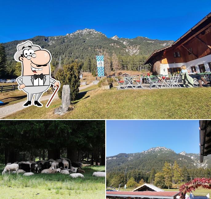 Jetez un coup d’œil à quoi ressemble Berggasthof Almhütte à l'extérieur