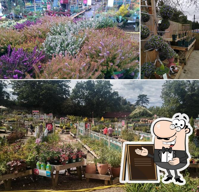 Upminster Garden Centre in Upminster
