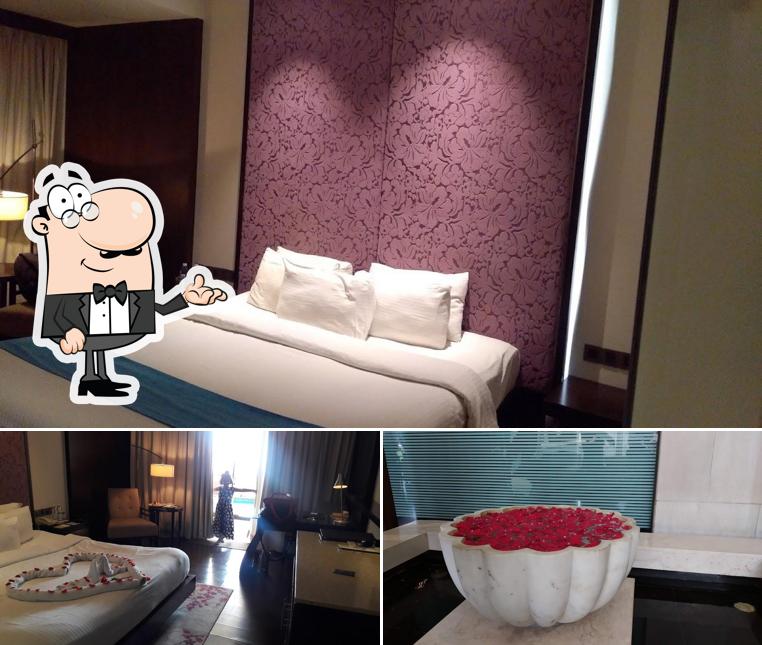 Check out how Hotel Royal Orchid Jaipur looks inside