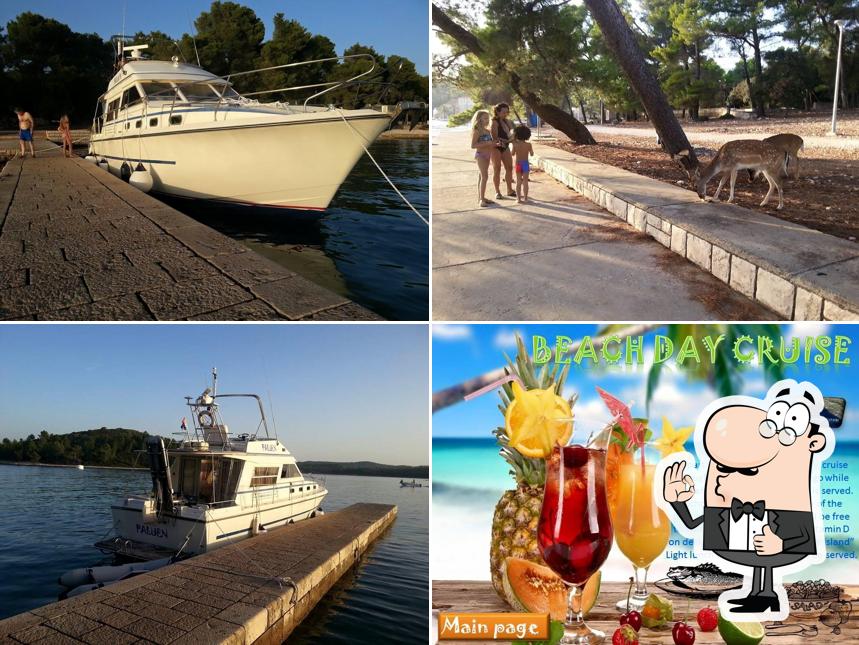 Day cruises Orebic