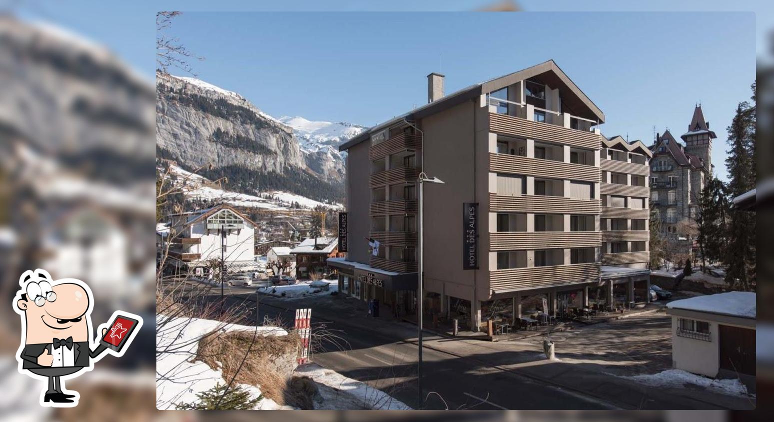 Hotel des Alpes