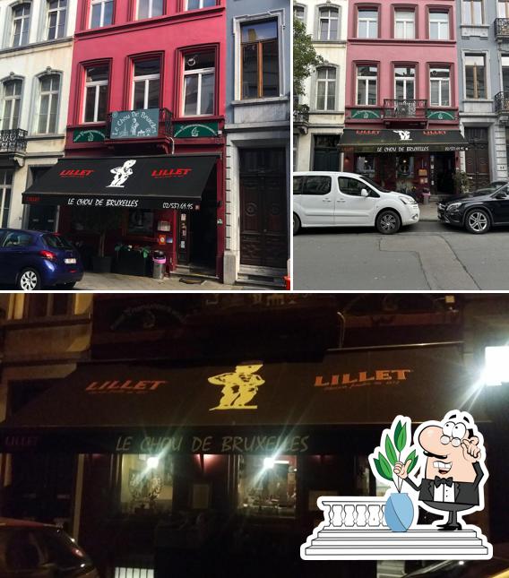 Profitez de la vue de l'espace ouvert de Le Chou de Bruxelles