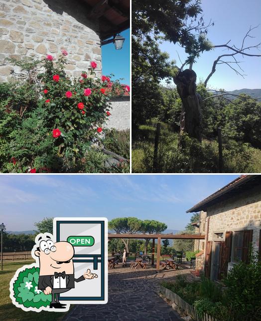 Check out how Agriturismo Collina delle Stelle looks outside
