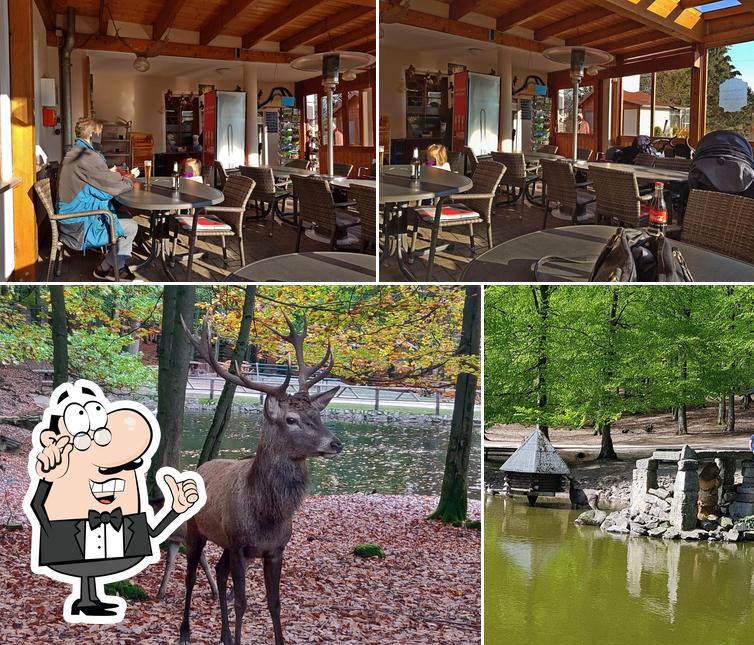 Restaurant Bergwildpark