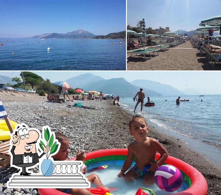 Goditi la vista dall'area esterna di Alta marea beach