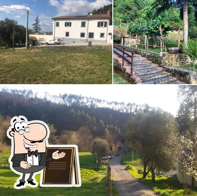 Guarda gli esterni di Il Fornello