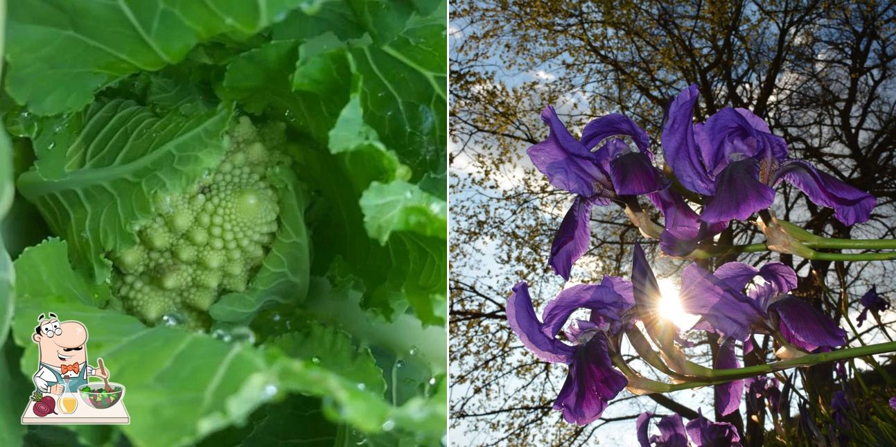 Ristorante @ Agriturismo Borgodoro