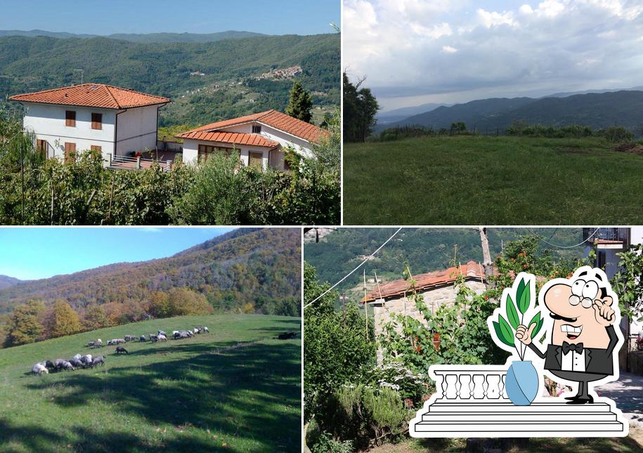 Agriturismo Montaione