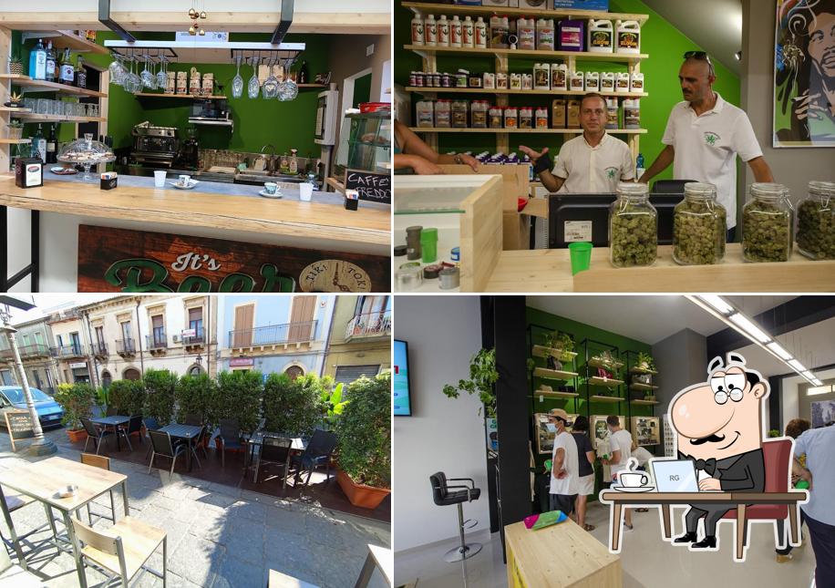 The Grower Sicily • Canapa Store
