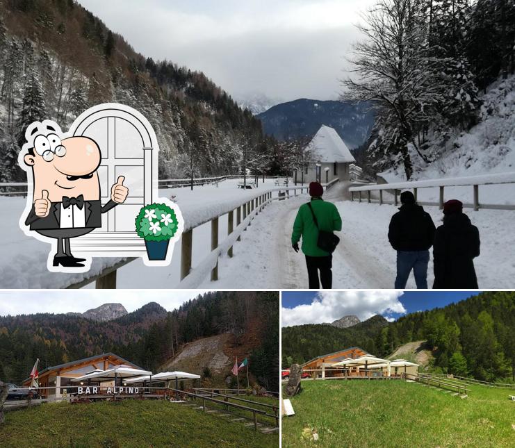 Bar Alpino, Calalzo di Cadore - Restaurant reviews