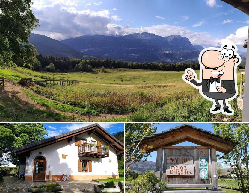 Puoi goderti l'aria fresca dal dehors di Malga Brigolina