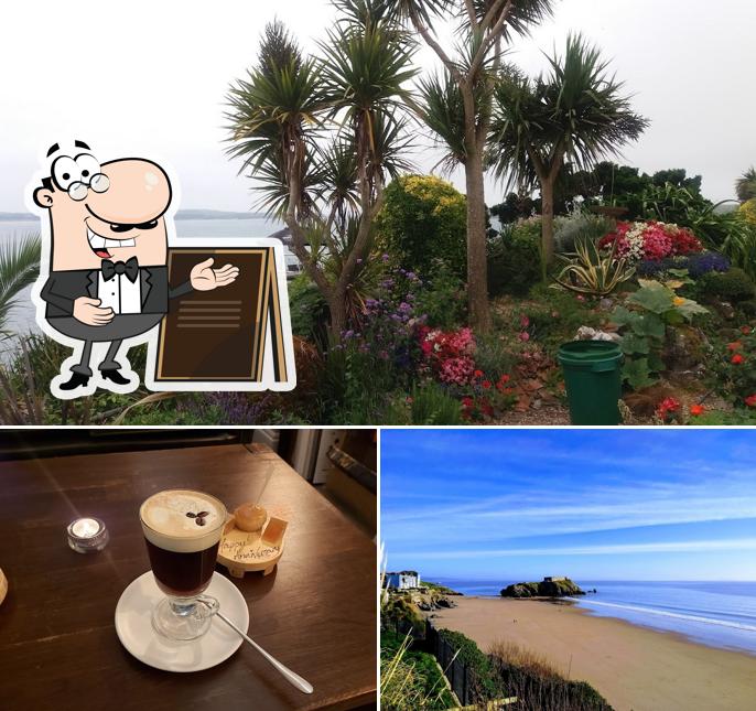 The Salt Cellar in Tenby Restaurant menu and reviews