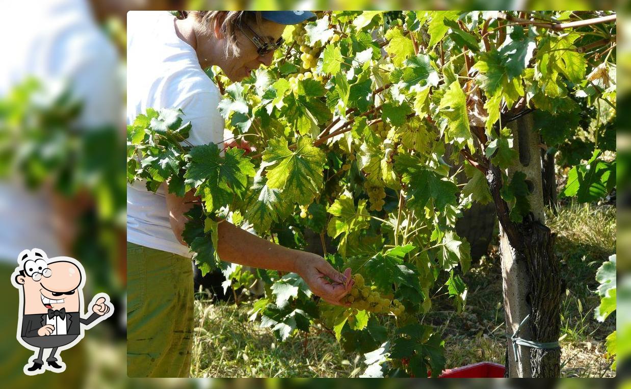 Azienda Agricola Savini