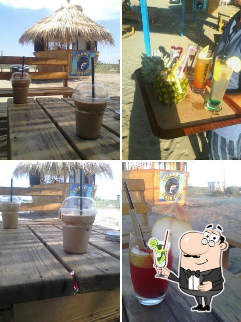 Shark's Club Albania