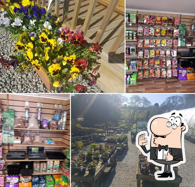 Cornish Garden Nurseries, Carnon Downs
