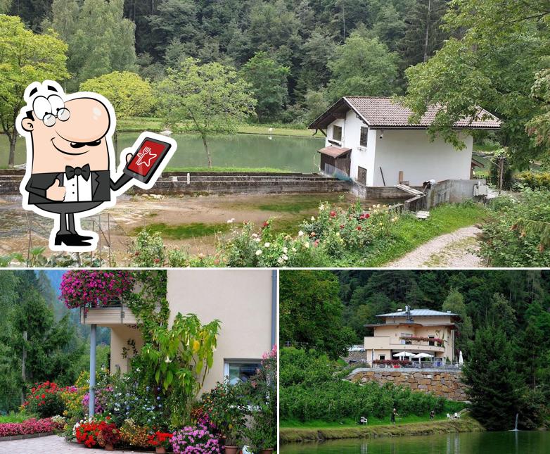 Gli esterni di Pesca Sportiva Bar Troticoltura Di Wörndle Günther