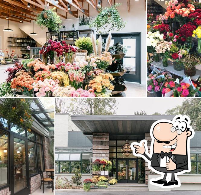 Vault + Vine in Philadelphia Restaurant menu and reviews