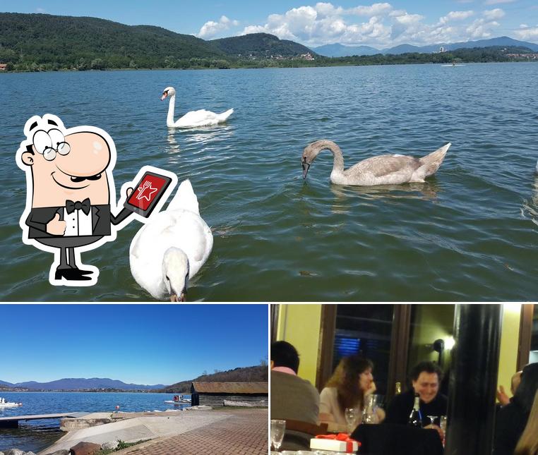 Tra le varie cose da Ristorante Lago dei Cigni si possono trovare la esterno e bancone da bar