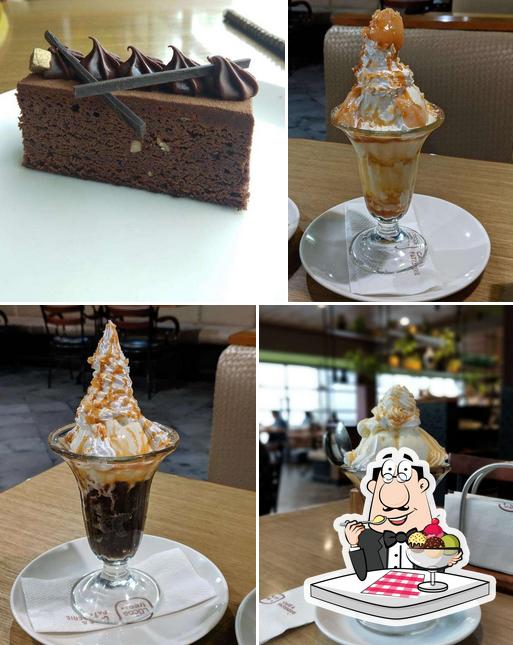 Cocoa Tree - Panampilly Nagar