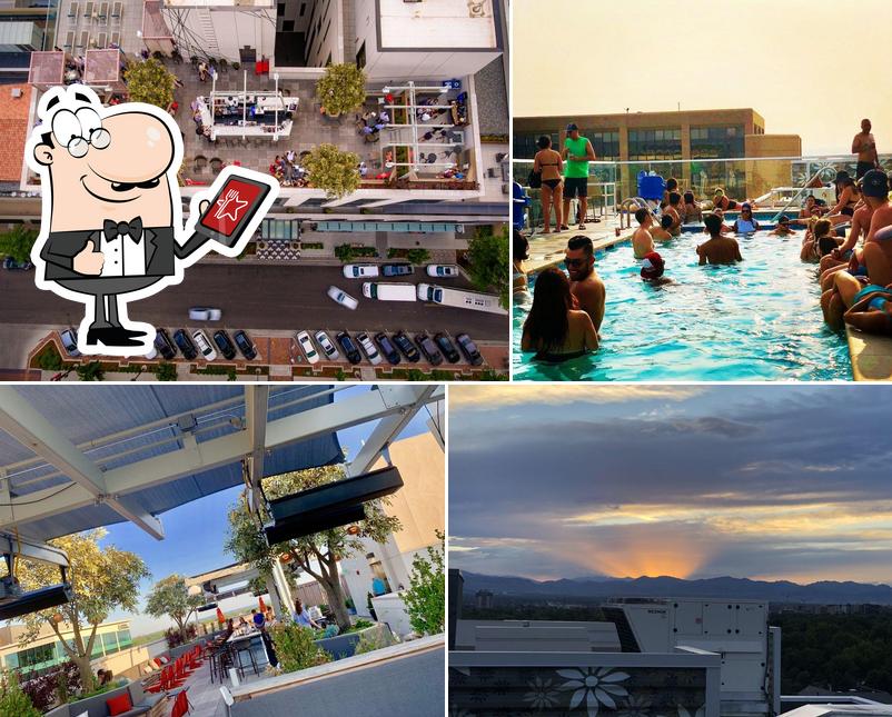 Elevated Rooftop Bar in Denver Restaurant reviews