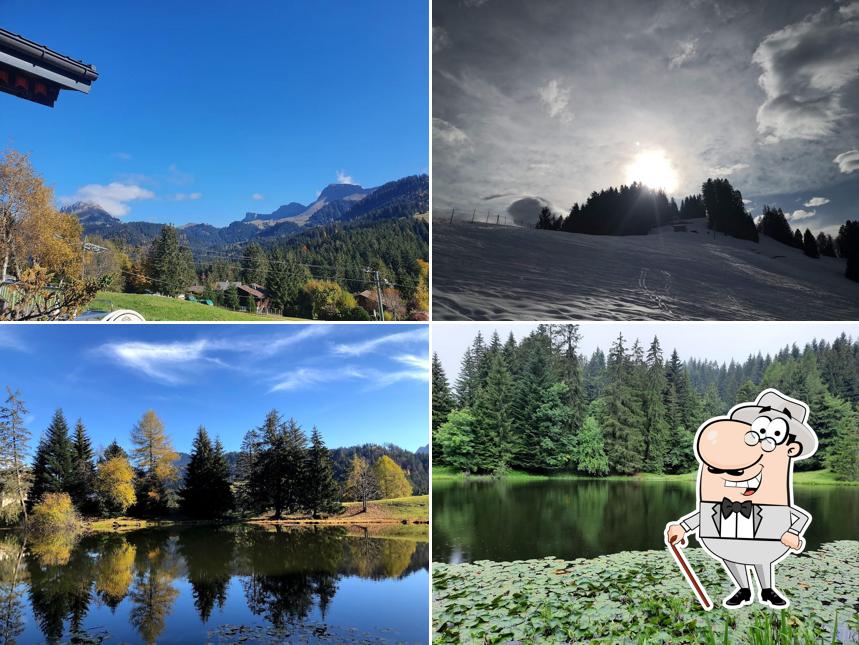 Hôtel Auberge du Lac-des- Joncs