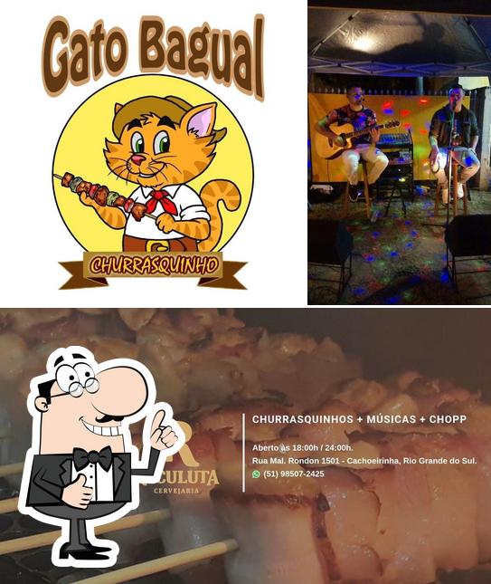 Look at the image of Gato Bagual - Churrasquinho