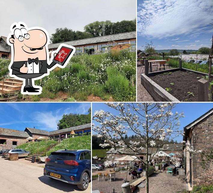 The Lost Kitchen Devon in Tiverton Restaurant reviews