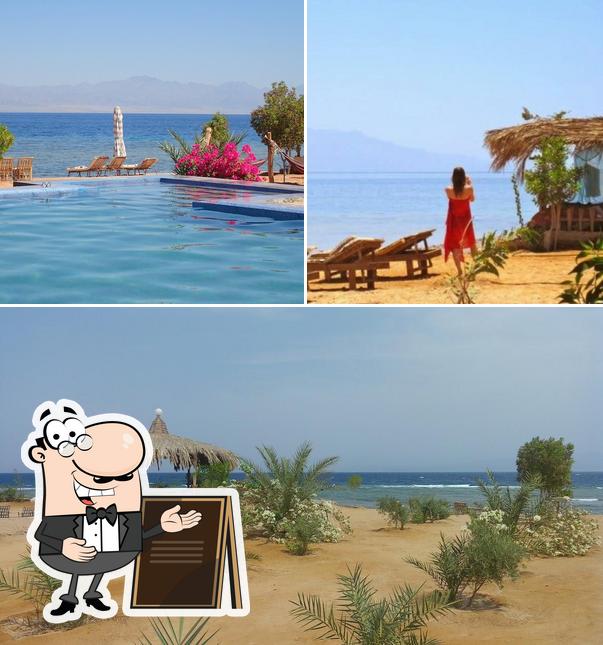 Внешнее оформление "Bedouin Star Beach Camp Nuweiba Egypt"