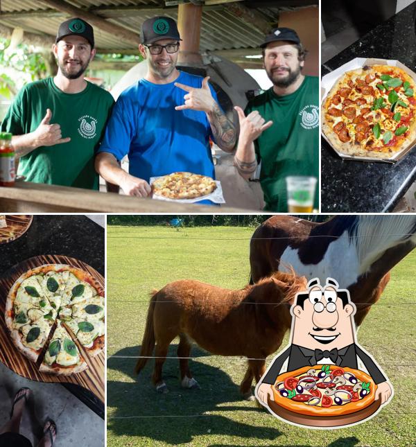 Pizzada Roots