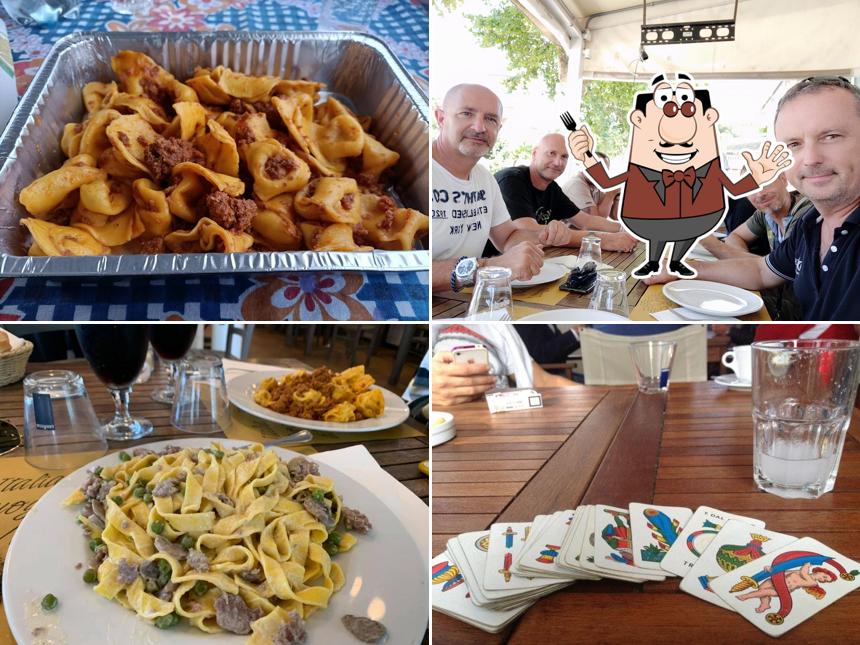 Cibo al Il gatto verde
