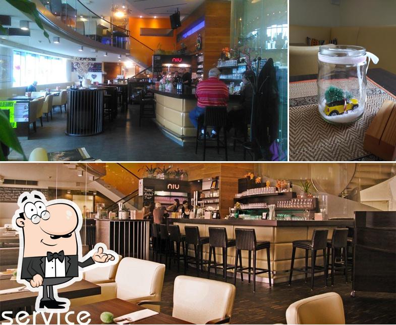 Посмотрите на это фото, где видны внутреннее оформление и пиво в Restaurant Cafe Bar Niu