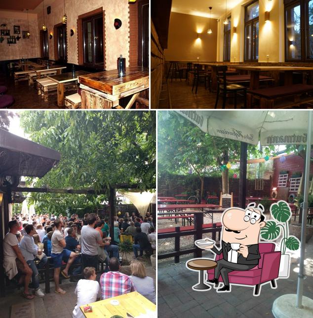 Découvrez l'intérieur de Gambrinus