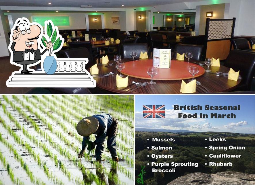 The Bamboo in Exmouth Restaurant menu and reviews