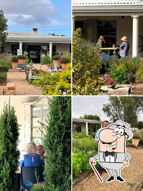 The Rose Garden Tea House cafe, Port Elizabeth, 63 B Circular Dr