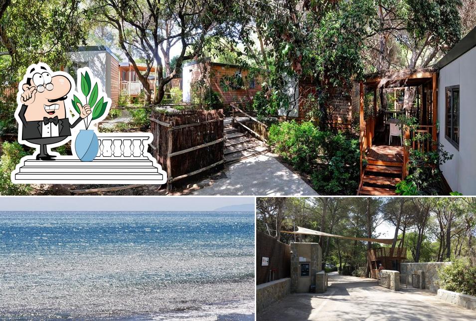 Guarda gli esterni di Camping Village Santapomata