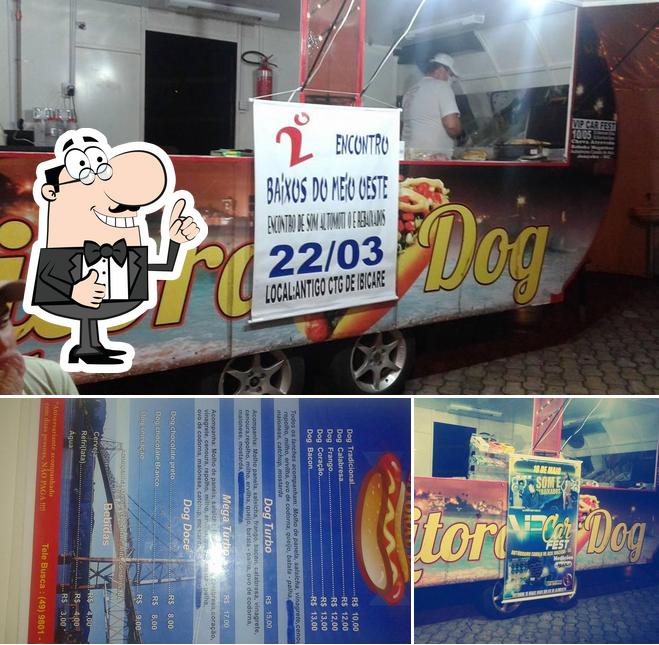 Litoral dog