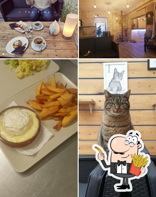 Dégustez des frites à La compagnie des chats