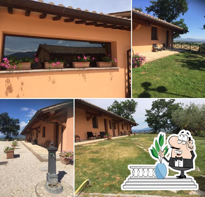 Goditi la vista dall'area esterna di Agriturismo I Mille Ulivi Montefalco