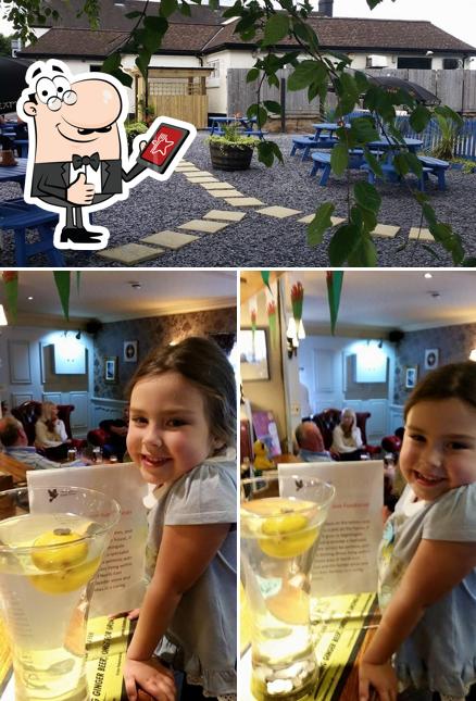 The Hollybush, Llay Rd in Cefnybedd Restaurant menu and reviews