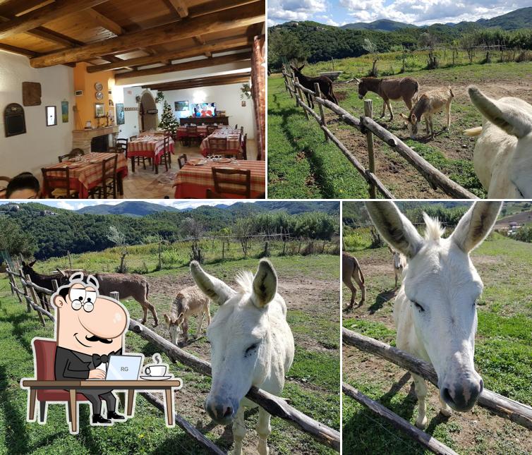 San Vito agriturismo