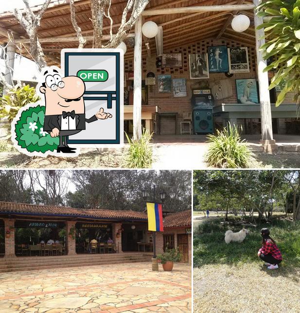 Mi Colombia querida cafeteria, Colombia
