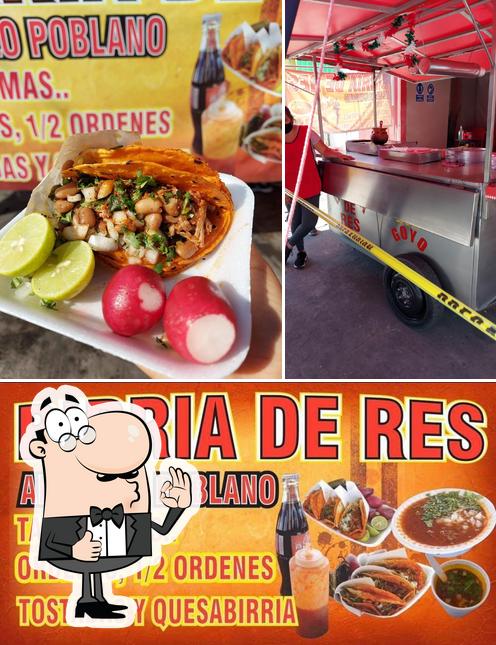 Look at the pic of Tacos de Birria Don Goyo