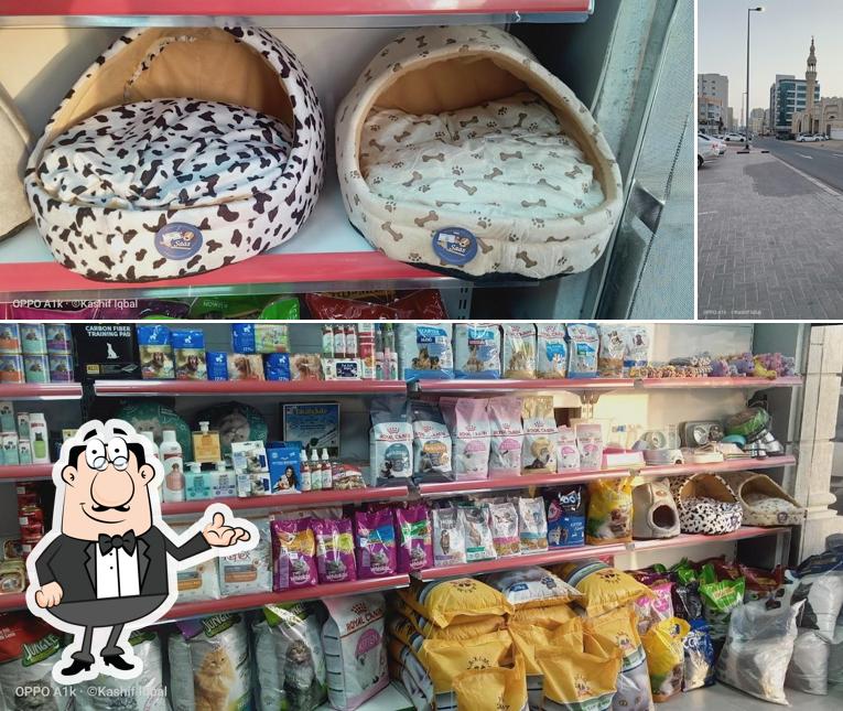 شاورما فايبس shawarma vibes restaurant, Ajman Restaurant menu and reviews